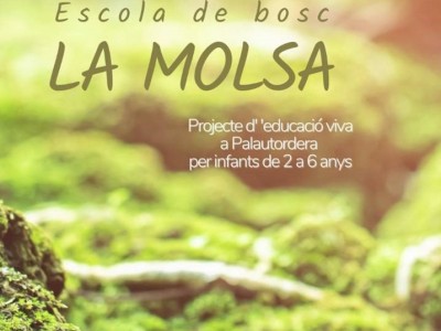 Aprofitament de betes de roba